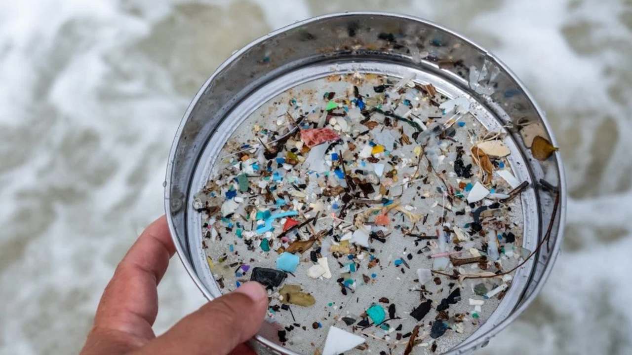 Microplastics-News-image-from-Social-Media.