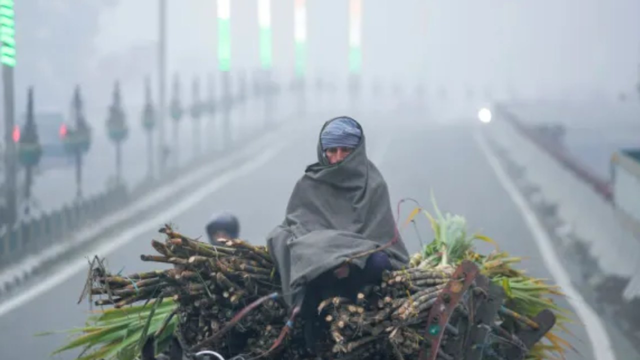 Cold wave News (Image Social Media)