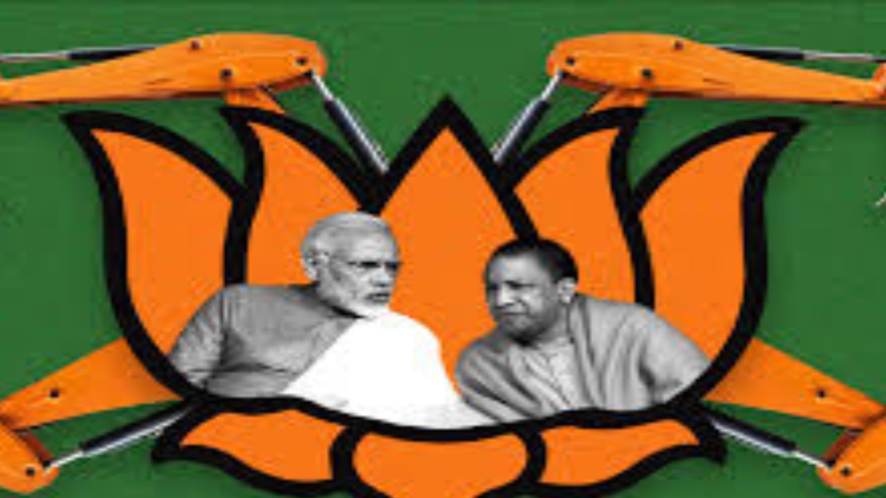 Bulldozer Politics (image Social MediaI).jpg