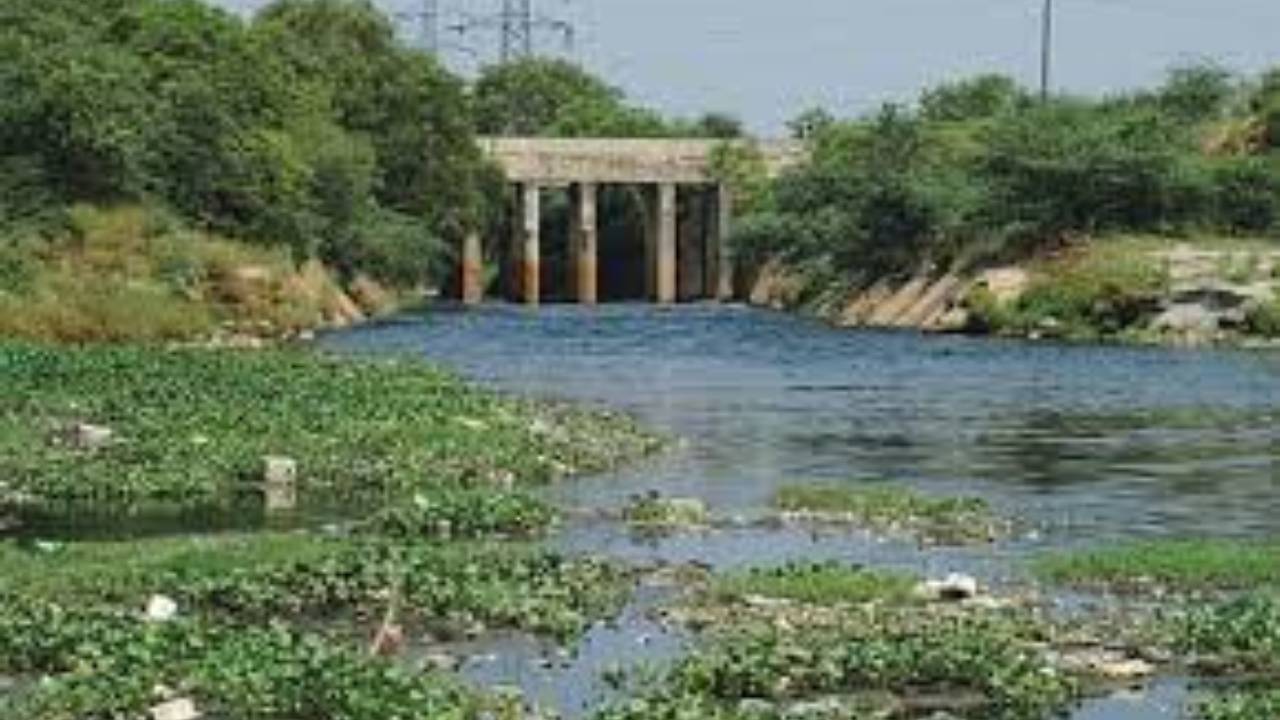 Delhi Ground Water (image Social Media)