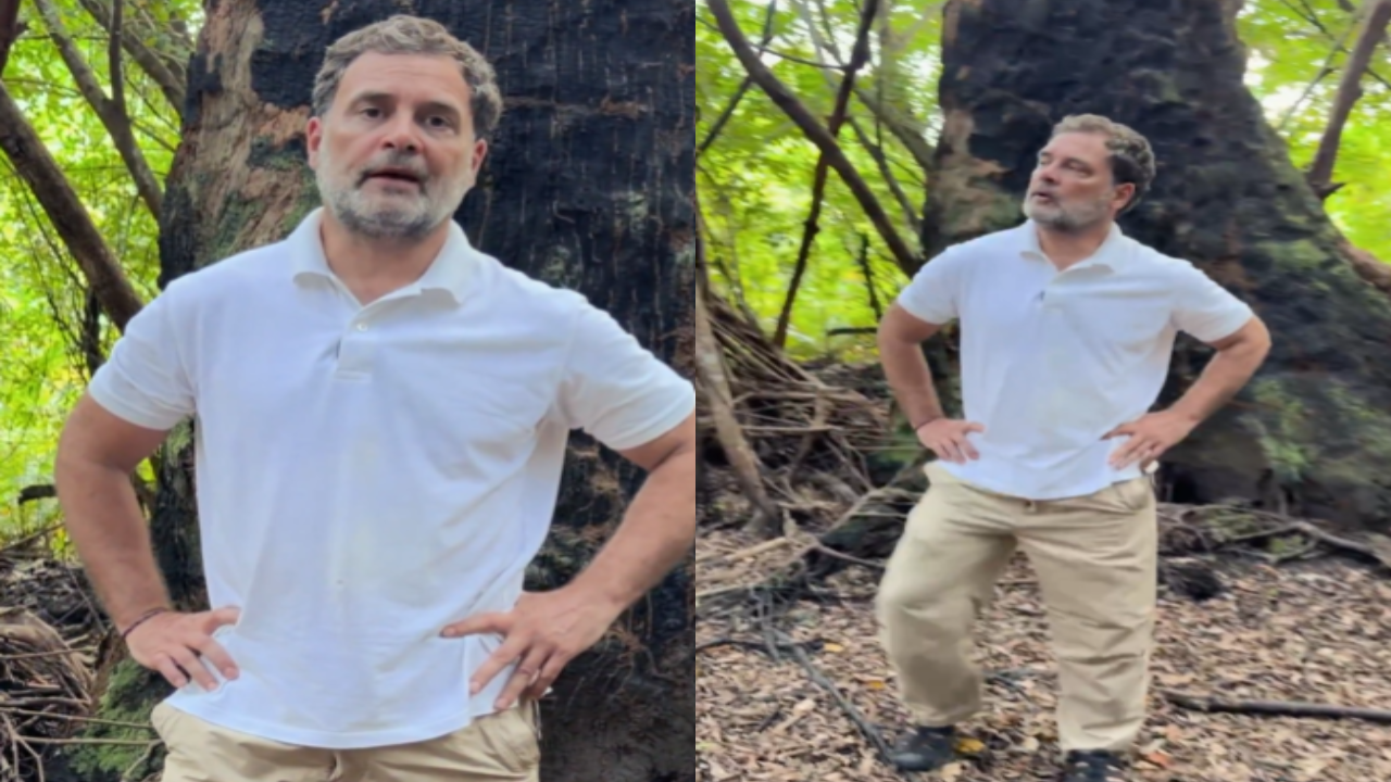 Rahul Gandhi Political Journey