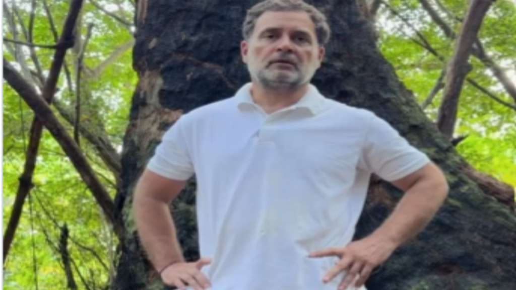 Rahul Gandhi Political Journey