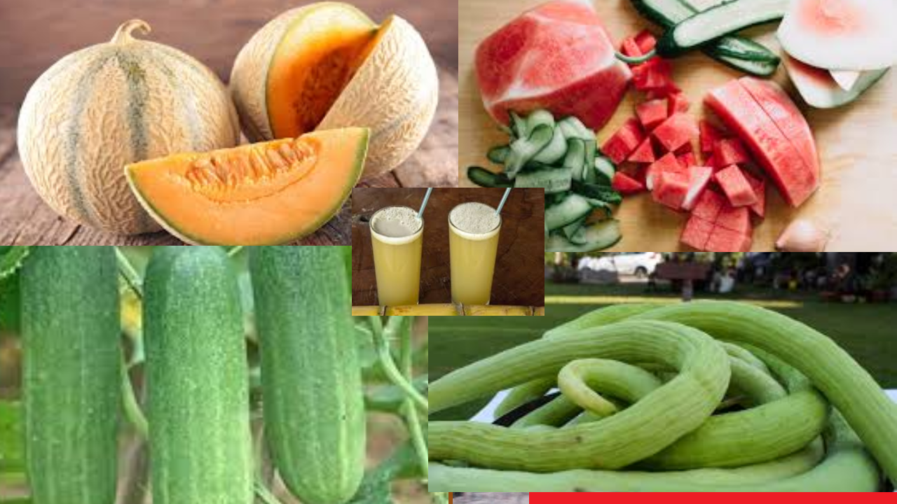 गर्मी में खान-पान की सावधानी Safe Food & Water Guide (image Social Media).png