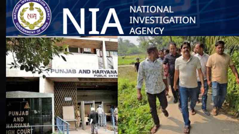 NIA Action (image Social Media).jpg